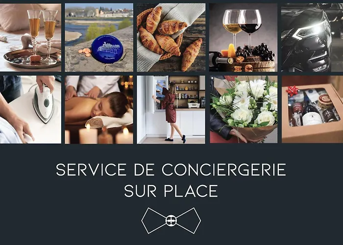 La Douceur De L'allier, Proche Gare, Avec Services Premium, By Primo C0nciergerie Apartment