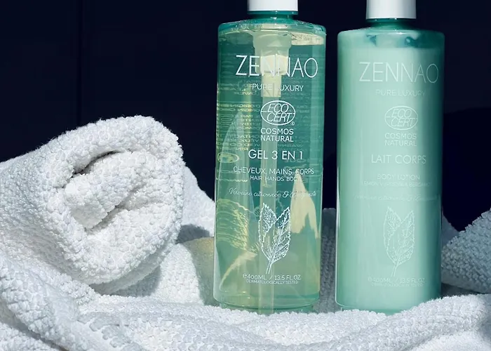 La Douceur De L'allier, Proche Gare, Avec Services Premium, By Primo C0nciergerie Apartment